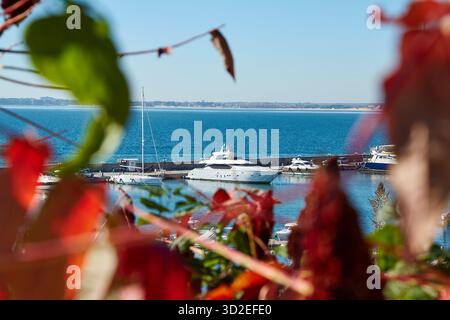 Eine wunderschöne Yachtszene mit Luxusyachten, die im ruhigen blauen Wasser verankert sind, umgeben von farbenfrohen Herbstlaub, bietet einen ruhigen Küstenvormittag Stockfoto