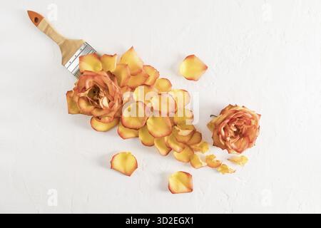 Ein Pinsel gelber Rosenblätter auf weißem Hintergrund mit Blumenköpfen. Kreatives Blumenarrangement. Draufsicht. Eine Kopie des Bereichs Stockfoto