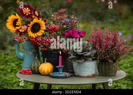 Herbstgarten Eingangskomposition im Landhausstil. Kerze, Heidekraut, Zierkohl, Blumenstrauß mit Sonnenblumen, Dahlien und eberesenbeeren und verschiedene Kürbisse auf dem Tisch. Warme, gemütliche, rustikale Atmosphäre, inspiriert von der Herbsternte und dem Thanksgiving-Meer Stockfoto