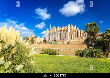 Basilika de Santa Maria de Mallorca mit Blick auf die Natur. Insel Mallorca. Balearen in Spanien. Stockfoto