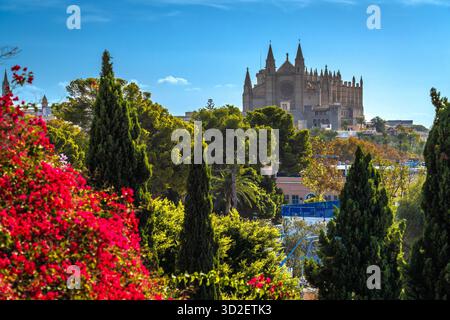 Basilika de Santa Maria de Mallorca mit Blick auf die Natur. Insel Mallorca. Balearen in Spanien. Stockfoto