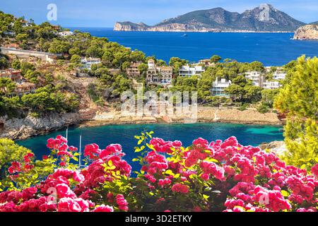 Port d Andratx malerische Küstenvillen und Landschaftsrosen mit Blumenblick, Insel Mallorca. Balearen in Spanien. Stockfoto