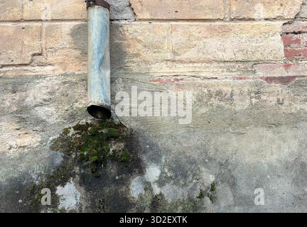 Altes Abflussrohr aus Metall an einer verwitterten Betonwand mit Moos, das darunter wächst und rustikale Textur und veraltete Gebäudedetails zeigt. Stockfoto