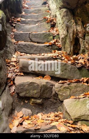 Alte Steintreppe bedeckt mit Blättern Alte Steintreppe bedeckt mit herabfallenden Herbstblättern im Wald. Stockfoto