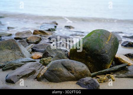 Ein moosbedeckter Felsen liegt entlang der Küste in Portland, Maine, umgeben von glatten Küstensteinen und sanften Wellen unter bewölktem Herbstlicht. Stockfoto