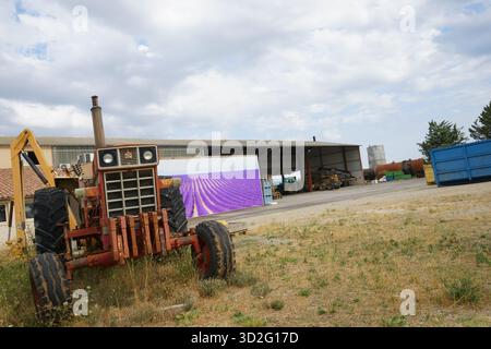 Traktor in der Lavendelfarm in der Nähe von Valensole, Provence-Alpes-Côte d'Azur, Provence, Frankreich Stockfoto