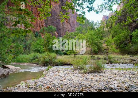 Eine ruhige Lichtung am Fluss mit glatten Steinen, fließendem Wasser und üppigem Grün unter den majestätischen Schluchtwänden im Zion-Nationalpark. Stockfoto