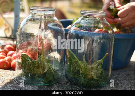Hausgemachte eingelegte Tomaten und Gemüse in Gläsern auf einem rustikalen Tisch Stockfoto