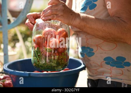 Eine Frau, die ein Glas mit Tomaten und Kräutern hält, eine blaue Schüssel im Hintergrund. Stockfoto