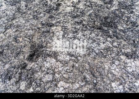 Abstrakte Muster und Textur aus Nahaufnahme, die durch getrocknete, mattierte Schichten weißer und dunkelgrau-schwarzer Meeresalgen und -Fasern gebildet werden, die an der Küste angespült werden. Stockfoto
