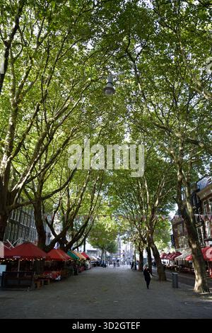 Thorbeckeplein, Amsterdam, Holland, Niederlande, Europa Stockfoto