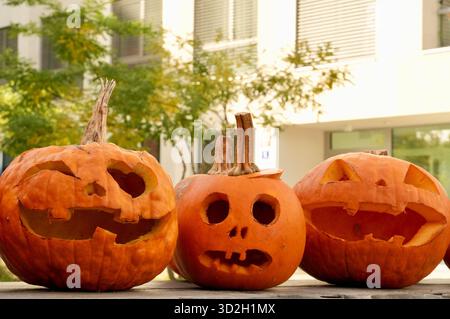 Halloween Kürbisse vor einem Schulgebäude, bereit für Halloween. Stockfoto