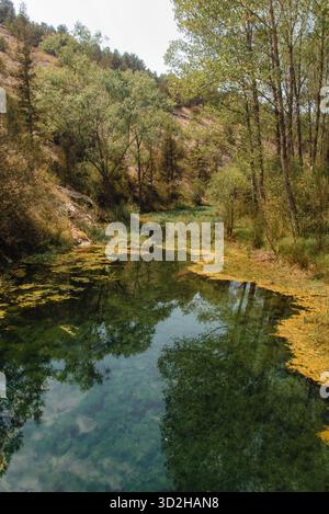 Das ruhige smaragdgrüne Wasser von La Fuentona nahe der Quelle des Rio Abión in der Provinz Soria. Das enge Tal und die umliegenden Wälder sind ein beliebtes Wandergebiet. Stockfoto