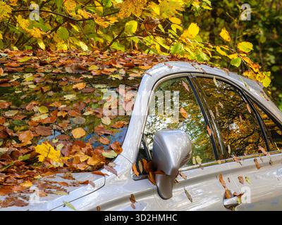 Ein Auto, das im Herbst bedeckt ist, fährt in einem Wald ab. Stockfoto