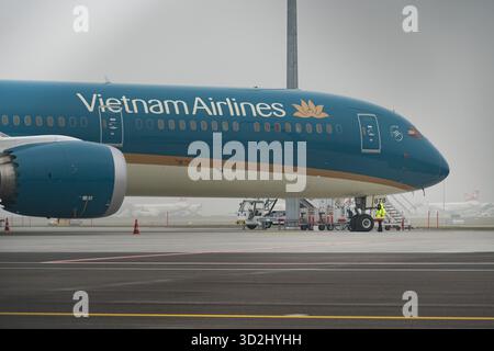 Zürich, Schweiz, 21. Januar 2025 VN-A878 Vietnam Airlines Boeing 787-10 Dreamliner Aircraft parkt an einem sehr nebeligen Tag während der Weltwirtschaftszeit Stockfoto