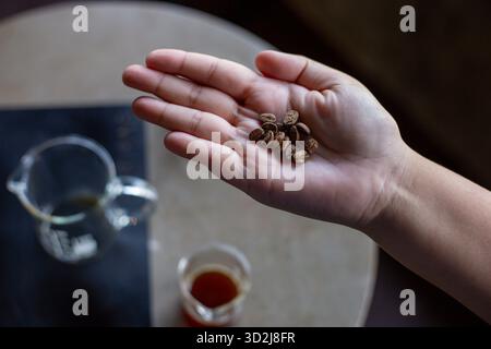 Selektiver Fokus braune Kaffeebohnen in der Hand gute Qualität Kaffeebohnen in einem Café Stockfoto
