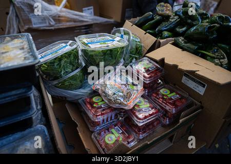 Bronx, USA. November 2025. Die Food Bank NYC beherbergt eine Moble Food Pantry am Mt. Hope Spielplatz für Bewohner der Bronx. Heute ist der erste Tag des Monats, in dem Millionen von New Yorkern ohne die Vorteile des SNAP-Programms (Supplemental Nutrition Assistance Program) zur Versorgung ihrer Familien mit Nahrungsmitteln zurückbleiben würden. Zwei Bundesrichter befahlen dem Landwirtschaftsministerium, die Gelder freizugeben. Bronx, NY. November 2025. (Foto: Steve Sanchez/SIPA USA). Quelle: SIPA USA/Alamy Live News Stockfoto