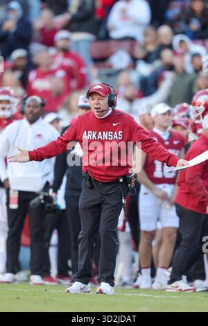 1. November 2025: Interim Head Coach Bobby Petrino beantragt bei den Beamten einen Aufruf auf dem Feld. Mississippi State besiegte Arkansas 38-35 in Fayetteville, AR. Richey Miller/CSM Stockfoto