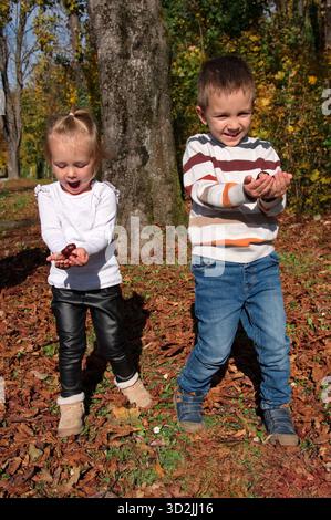 Bruder und Schwester pflücken Kastanien im Wald Stockfoto