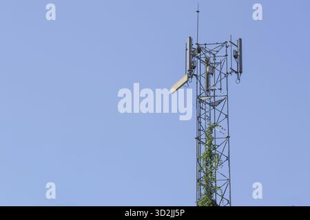 Telekommunikationsturm mit Antenne und Satellitenschüssel gegen klaren blauen Himmel. Hohe Metallstruktur für Signalübertragung, mit grünem Weinbergsteigen Stockfoto