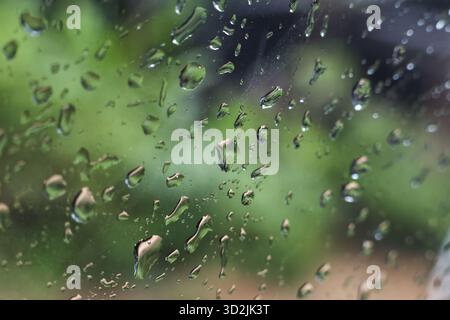 Ruhiger Regentropfen und Wasser auf nassem Glasfenster mit wunderschönem grünen Naturhintergrund. Sanfte Unschärfe durch Regen sorgt für stimmungsvolle und friedliche Textur Stockfoto