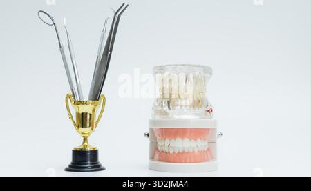 Kreatives Dentaldisplay mit Trophäen-Halteinstrumenten, neben realistischer Prothese und transparenten Implantatkiefermodellen für den Bildungsbereich. Stockfoto