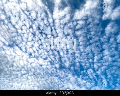 Weite Sicht auf gemusterte Altocumulus-Wolken, die sich an einem klaren Tag über einem hellblauen Himmel erstrecken, von unten mit weichem Tageslicht aufgenommen, das ein ruhiges A schafft Stockfoto