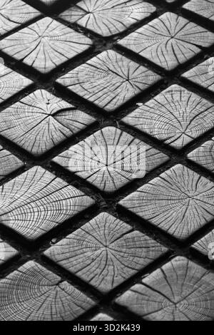 Nahaufnahme eines geometrischen Holzpflasters aus quadratischen Holzschnitten mit Jahresringen. Stockfoto