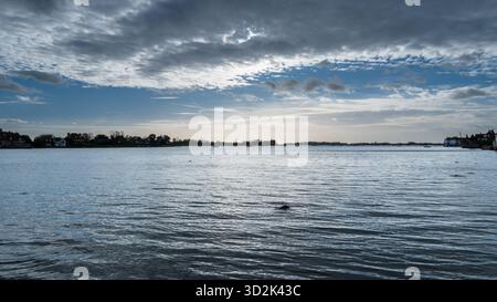 Bosham Harbour, West Sussex, England, bei Flut mit einem vertäuten Holzboot und einem überfluteten Damm-Schild unter einem hellblauen Himmel mit Wolken Stockfoto