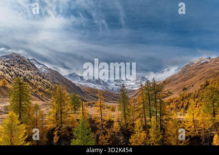 Am Fuße des Mount Oronaye, im wunderschönen Ubayette-Tal, Lake Reculaye Stockfoto