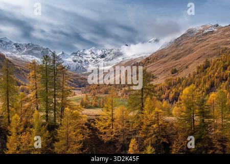 Am Fuße des Mount Oronaye, im wunderschönen Ubayette-Tal, Lake Reculaye Stockfoto