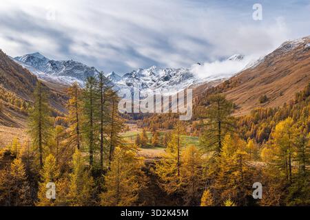 Am Fuße des Mount Oronaye, im wunderschönen Ubayette-Tal, Lake Reculaye Stockfoto