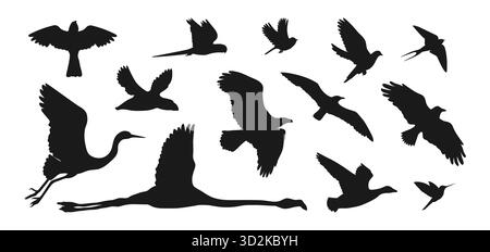 Silhouetten von Flugvögeln isoliert auf weißem Hintergrund. Papagei, Papageientaucher, Flamingo, Krähe, Kolibri, möwe, Spatzen, Reiher, Taube, Adler, Ente, Stock Vektor
