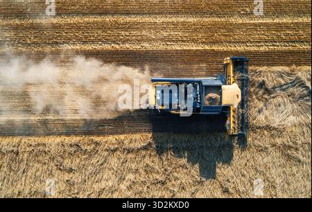 Draufsicht des Mähdreschers, der während der Erntesaison auf einem landwirtschaftlichen Feld Weizen schneidet Stockfoto