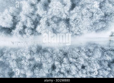 Luftaufnahme von Winterwald im Schnee bedeckt. Drohne Fotografie - Panoramabild schöne frostige Bäume, weihnachtszeit, Frohes neues Jahr. Stockfoto