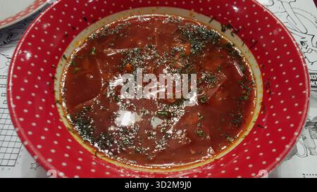 Eine leuchtend rote Schüssel mit traditionellem Borschtsch, einer Rote-Bete-Suppe, großzügig garniert mit frischem Dill, serviert in einer hellroten Schüssel mit weißen Polka Dots. Stockfoto