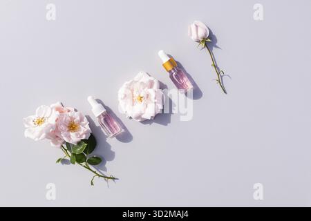Flaches diagonales Layout auf grauem Hintergrund von Kosmetikflaschen mit Tropfer mit Rosenöl und Rosenblüten. Kosmetische häusliche Pflege. Kopierbereich Stockfoto