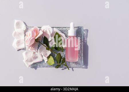 Kosmetik, Serum in einer weißen matten Flasche für Gesichts- und Körperpflege liegt auf einer Glasplatte. Grauer Hintergrund .Kopierbereich. Rose. Rosafarbene Blüten. Draufsicht Stockfoto
