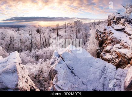 Panorama des frostigen Waldes mit Sonne bei dramatischem Sonnenaufgang. Winterlandschaft Stockfoto