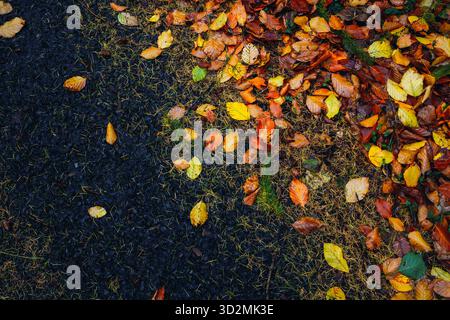 Herbstlaub auf nassem Boden und Schotter Stockfoto