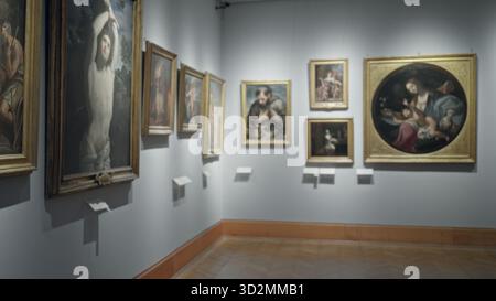 Weich verschwommene Museumsgalerie-Wand mit gerahmten Gemälden und Etiketten, flacher, unscharfer Fokus, der leere Ausstellungskorridor vermittelt; Hintergrundbilder Stockfoto