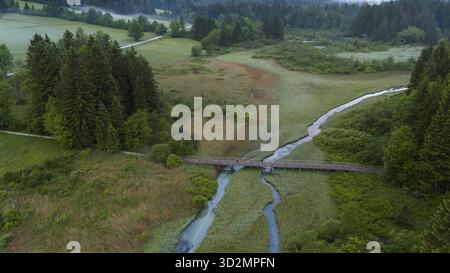 Zelenci Springs von oben: Die Naturschönheit Sloweniens, Slowenien Stockfoto