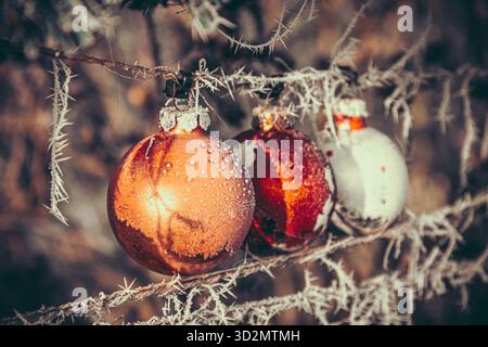 Drei glänzende weihnachtskugeln auf gefrorenen Zweigen, Außendekoration Stockfoto