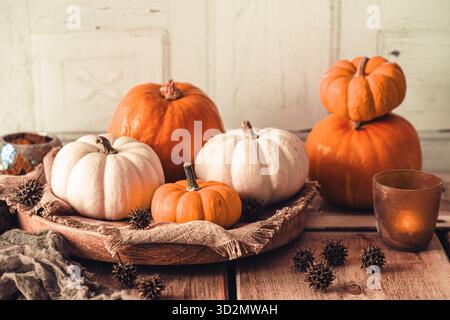 Herbstliche Dekoration mit verschiedenen Mini-Kürbissen auf einem Holztisch Stockfoto