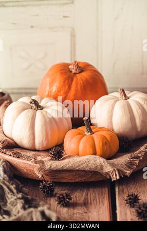 Herbstliche Dekoration mit verschiedenen Mini-Kürbissen auf einem Holztisch, vertikal Stockfoto