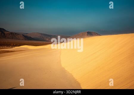 Der riesige goldene Sand der Zahek Sanddünen am Strand in Socotra, Jemen, ist perfekt zum Erkunden und Genießen der Landschaft. Stockfoto