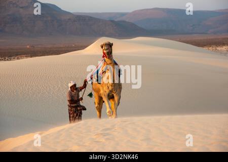 Ein einheimischer Mann führt ein Kamel über die atemberaubenden Zahek Sanddünen, während die Sonne über Socotra untergeht, und zeigt den goldenen Sand und die einzigartige Landschaft. Stockfoto