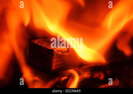 Die feurige Szene zeigt die intensive Hitze und den faszinierenden Tanz der Flammen um ein Stück Holz Stockfoto