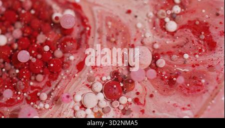 Ölblasen. Lackflüssigkeit. Defokussierte rote rosa weiße bunte funkelnde Glitzerpartikel fließen schweben auf abstraktem Bokeh-Kunsthintergrund. Stockfoto