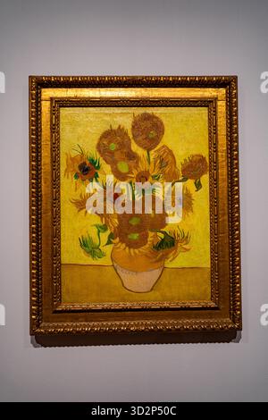 Sonnenblumen von Vincent van Gogh, gerahmtes Ölgemälde Stockfoto